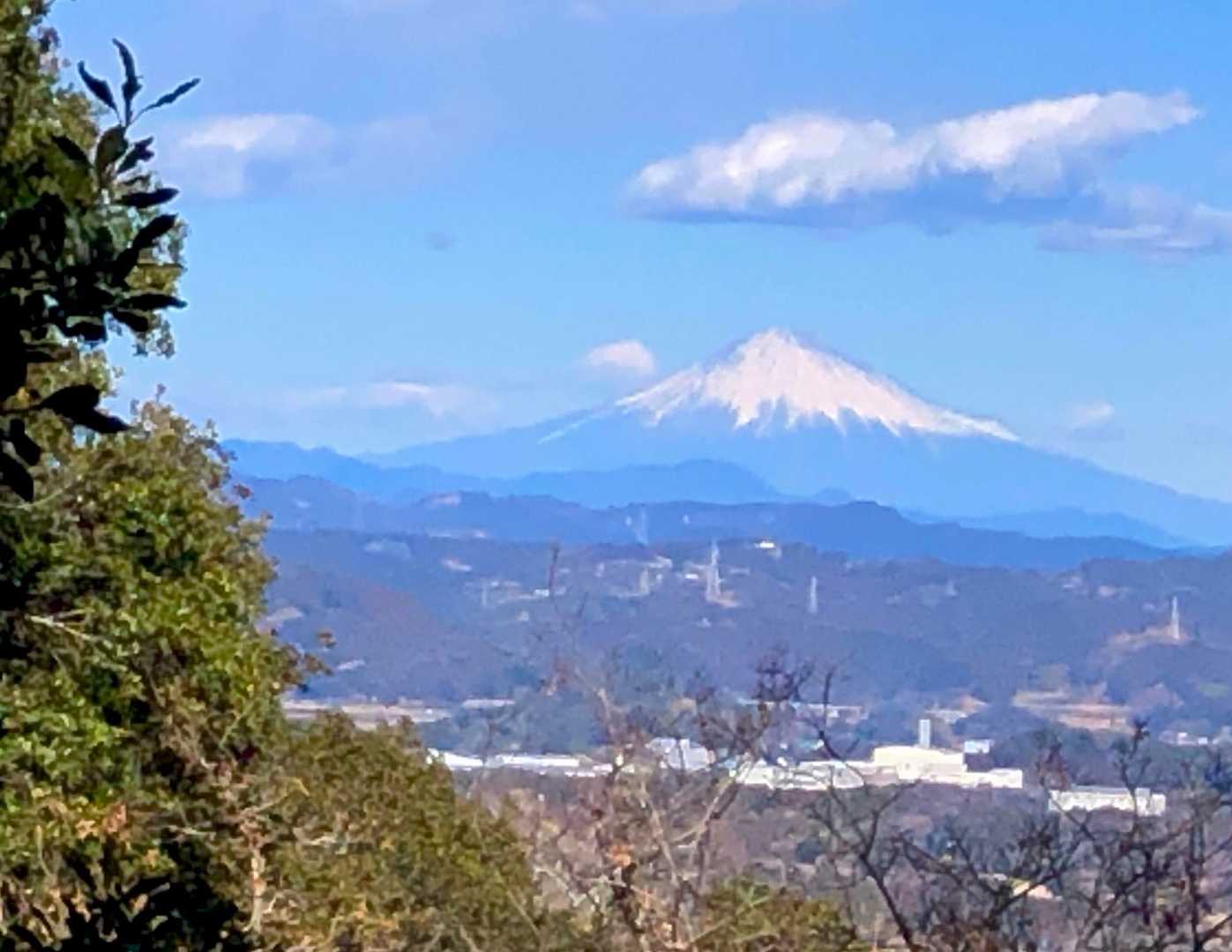 小笠山 往復コースの写真