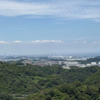 横浜方面
あまりよく見えませんでした💦