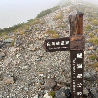 ここから下山
