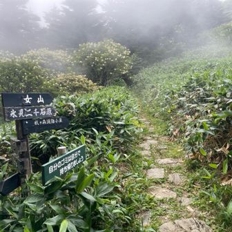 瓶ヶ森「女山」の登口