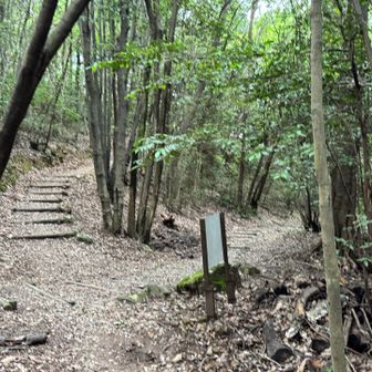 下山は初めてのルートへ🤣