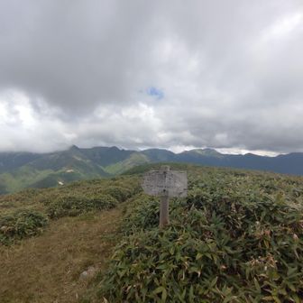綱附森山頂
