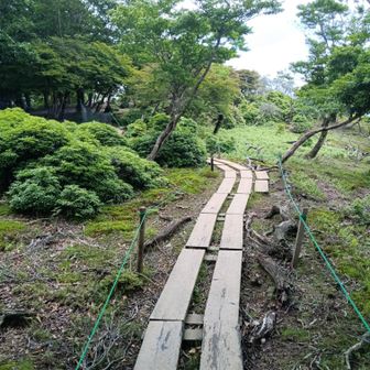 泥が避けられて快適🤗