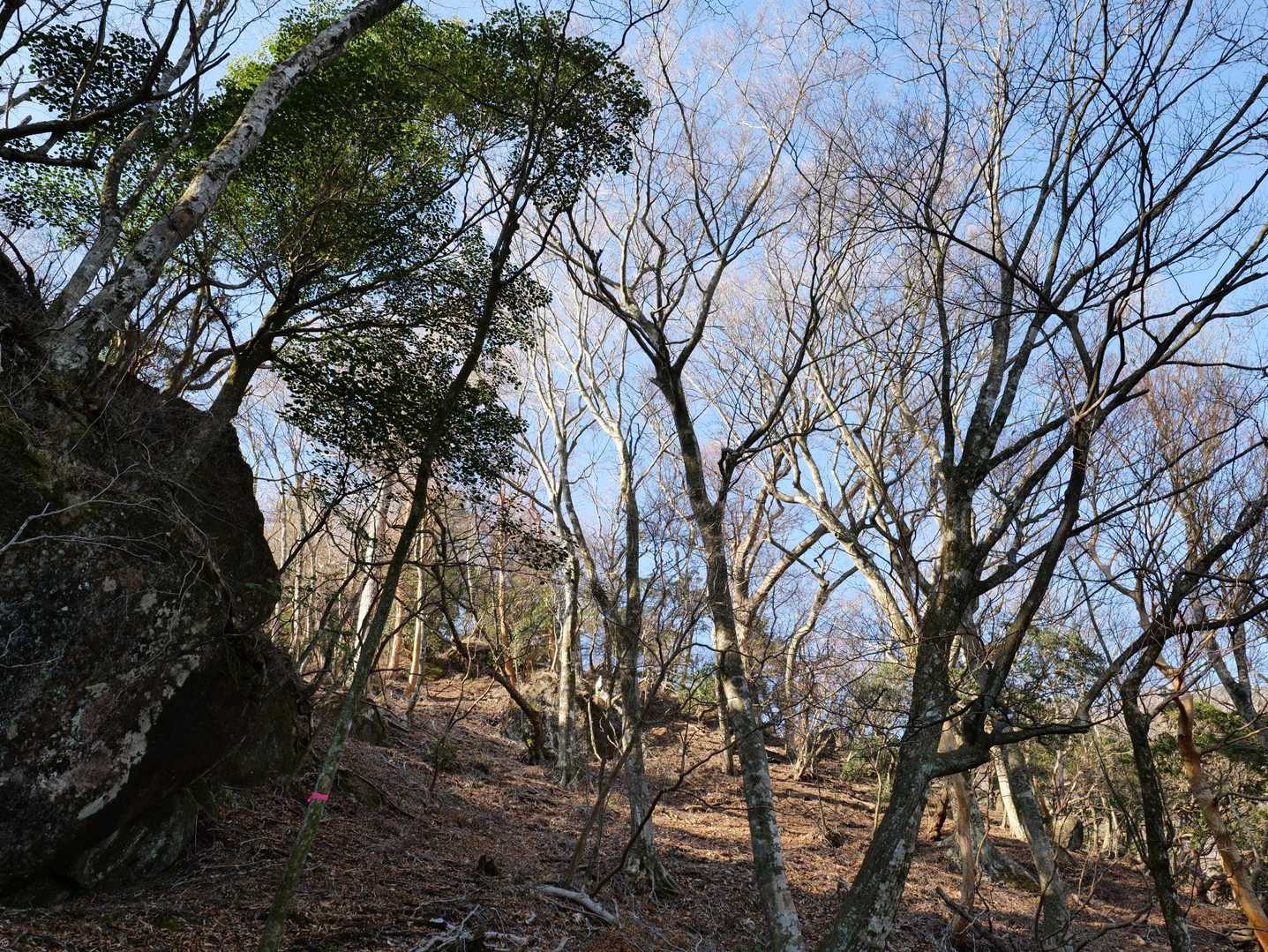難しさも多少ありますが案内テープはかなり丁寧。助かります。