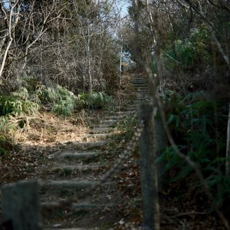 距離は短いですが
急登が続きます😮‍💨