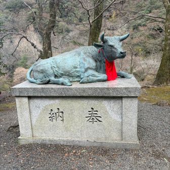 2026年は午年、牛じゃない