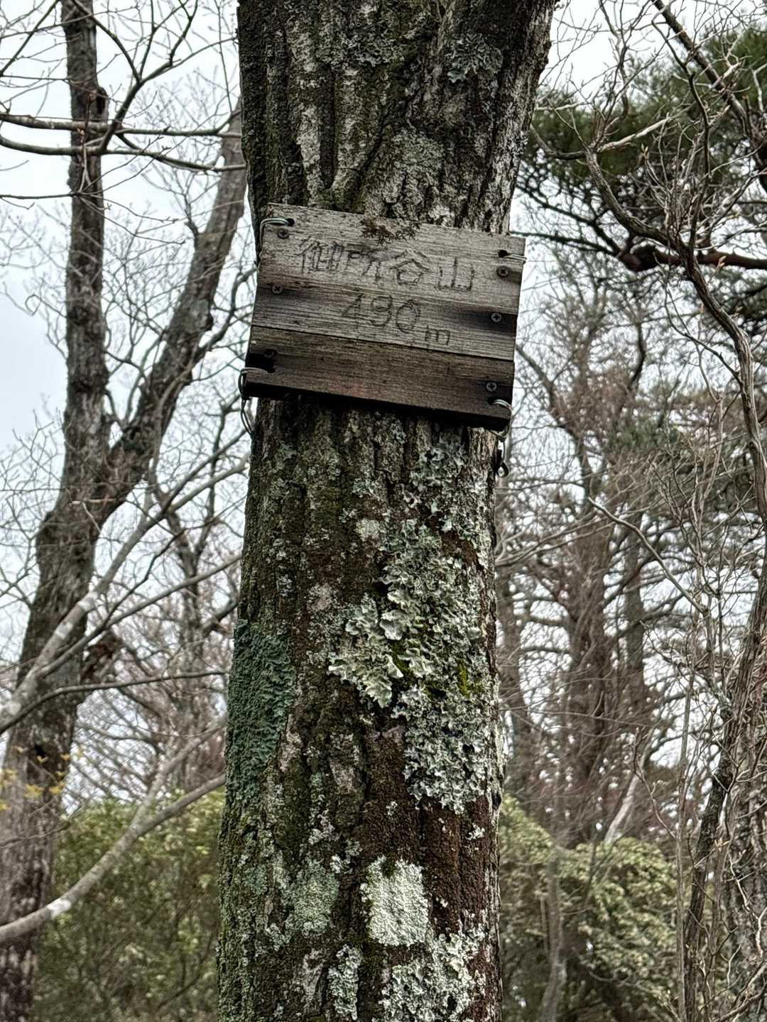 御所谷山