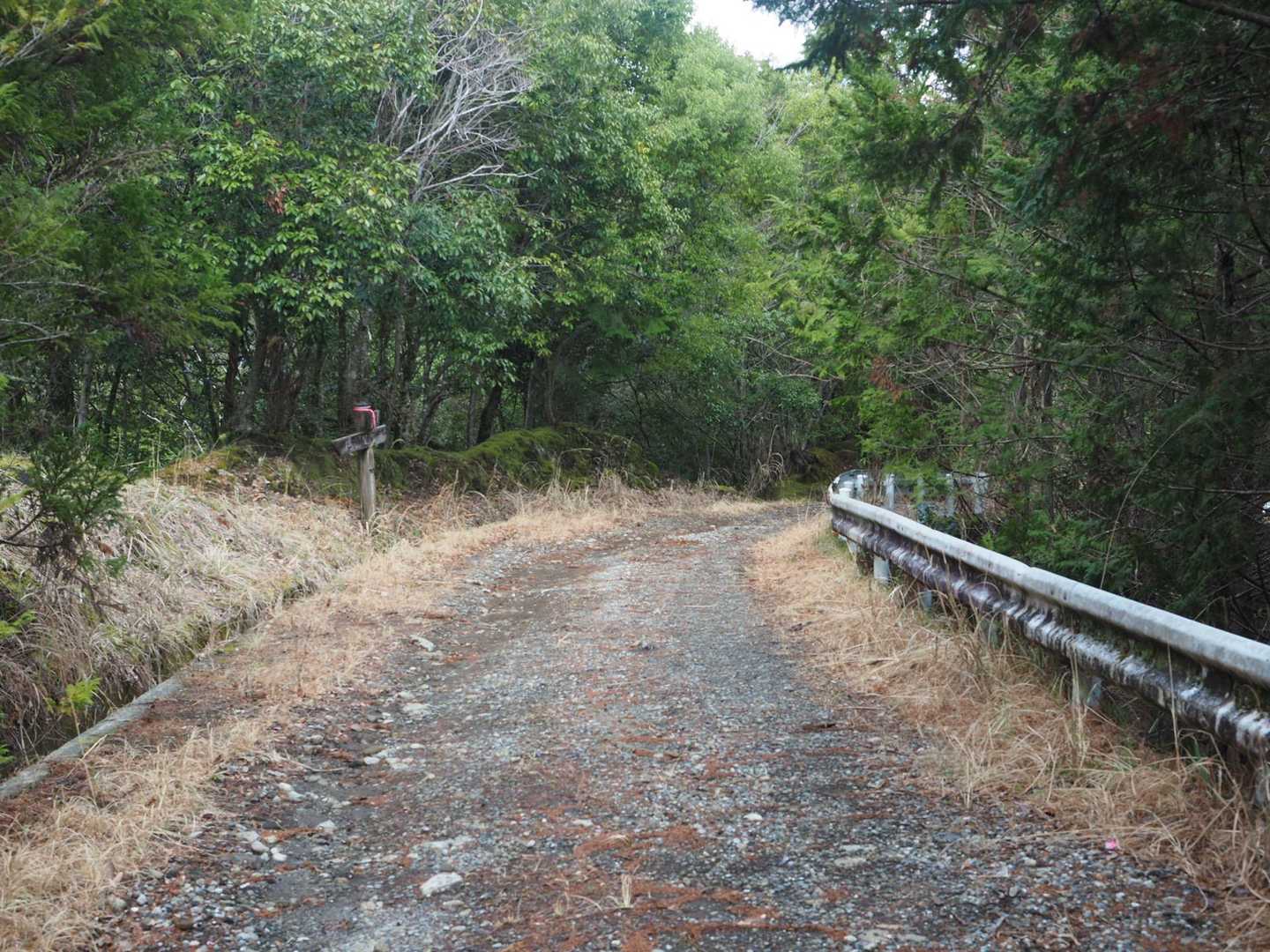 お、東海自然歩道の取り付きまで来たぞ