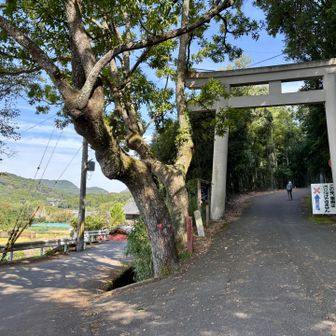 いつものスタート地点に到着
今日も右の東海自然歩道へ
左：原大橋先からのトレイル