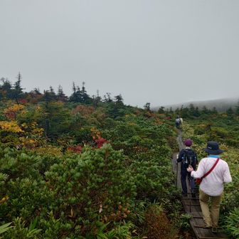 少し紅葉