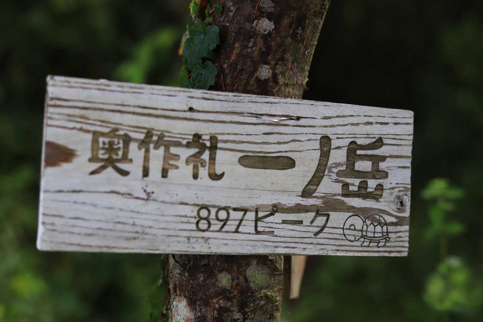 作礼山登山口-897ピーク-作礼山 周回コースの写真