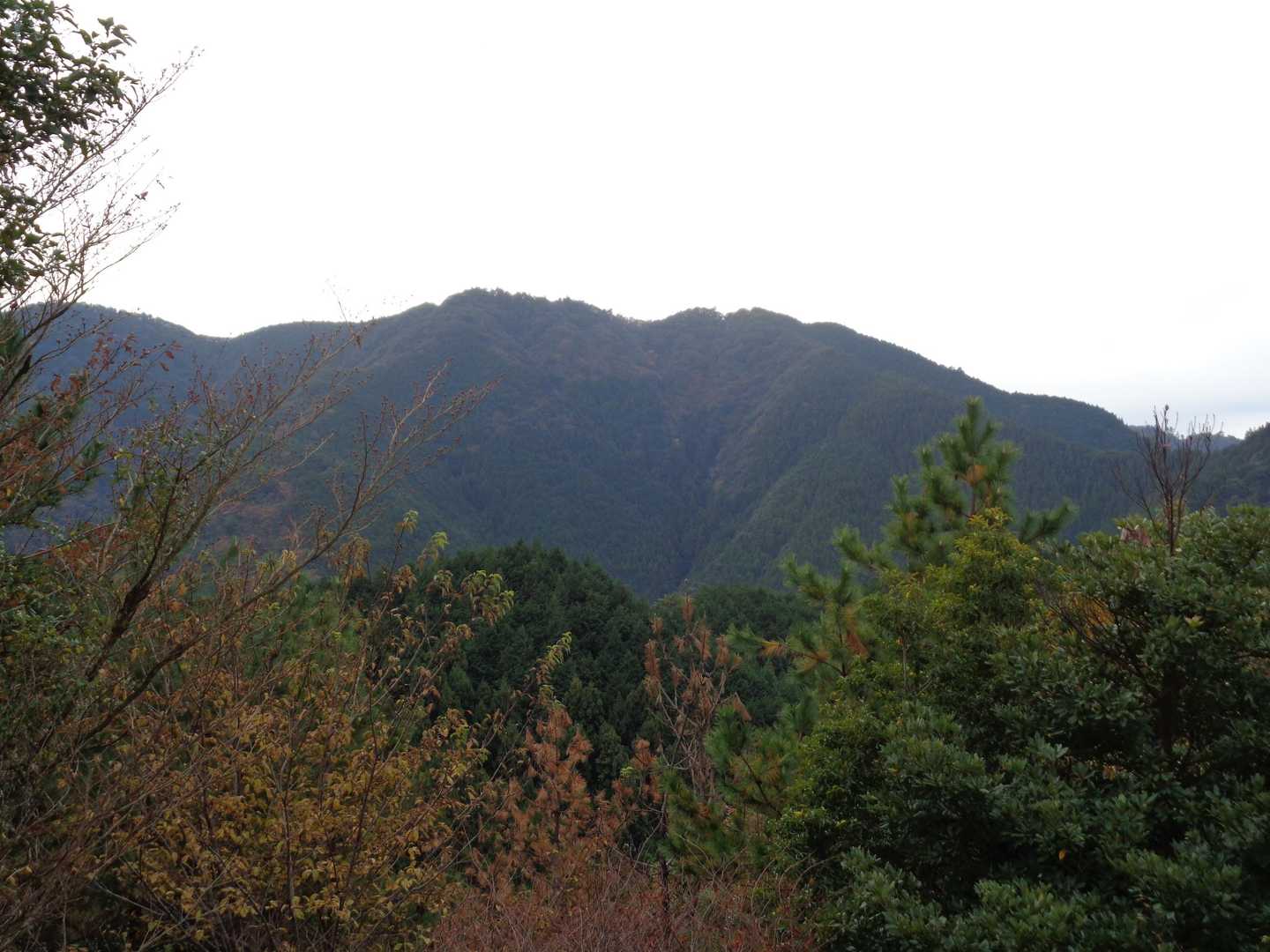 上双子山から矢筈山を望む