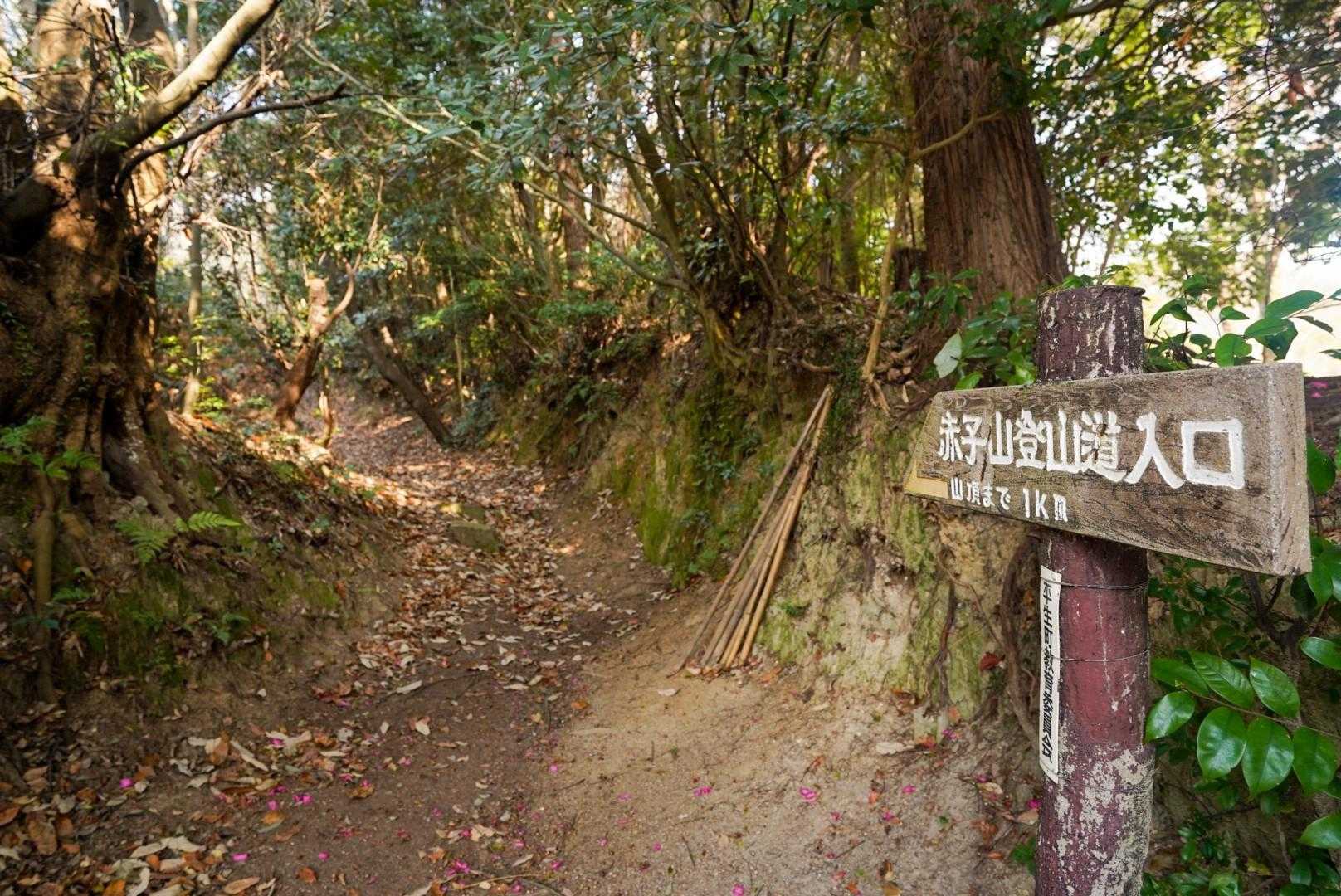 ここから入山