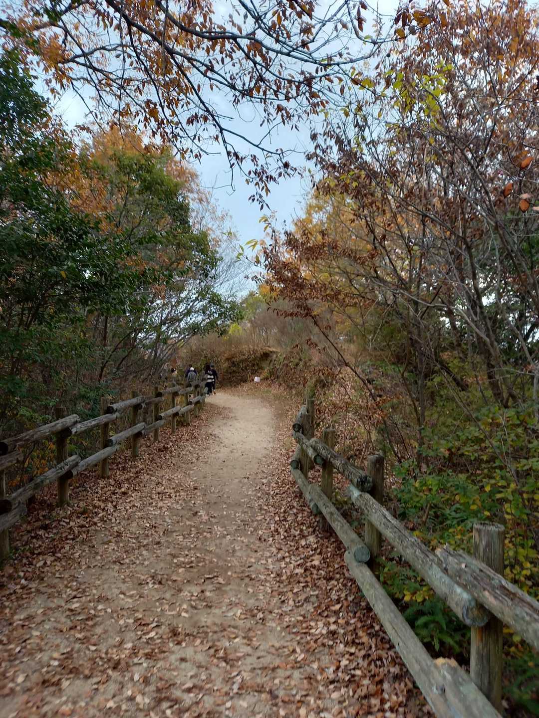 曇り🌥️ですが、12月とは思えない暖かさ😊歩ける🚶‍♀️ことが幸せを感じます😊💕