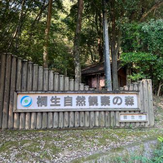 散策路が多数あり。
