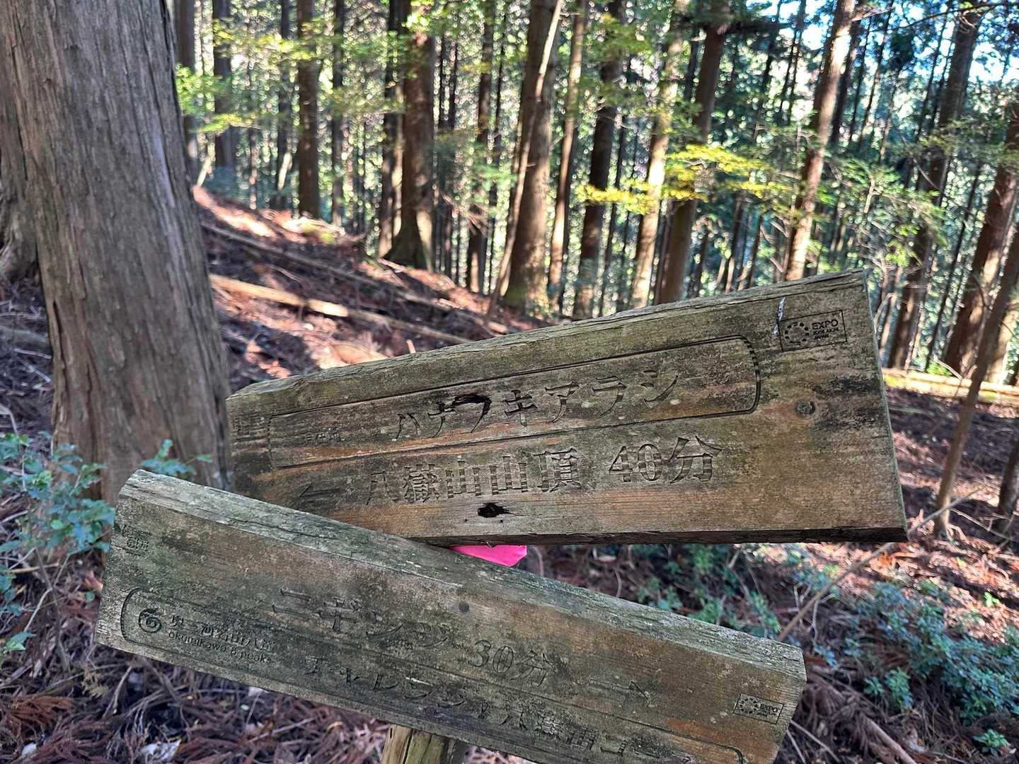 ハナフキアラシに到着💨
ここから八嶽山山頂までが、かなりキツイ急登でした😅