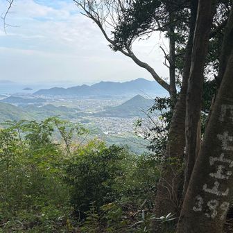 後ろに誰かいたら私不審者なので、
たまに振り返って確認しながら喋って歌う。