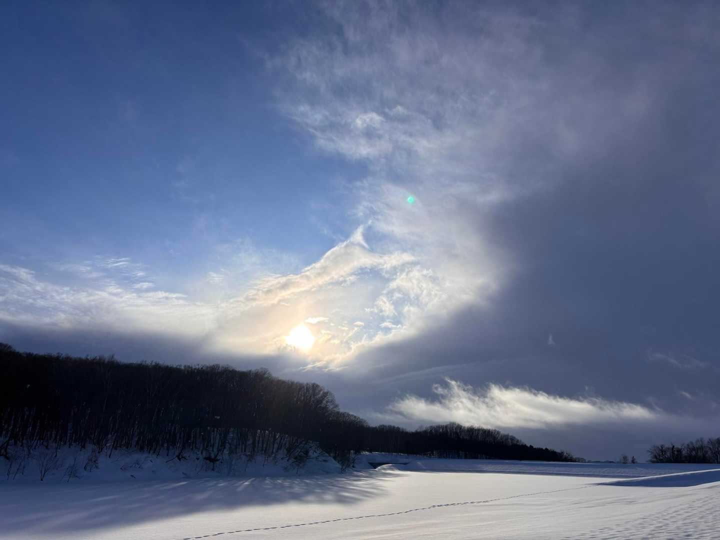 これから雪かな❄️
おしまい
