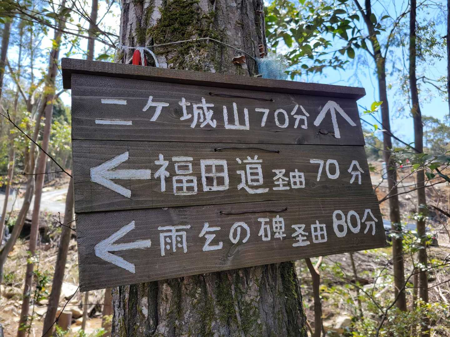 福田道経由で行ってみよー🙋