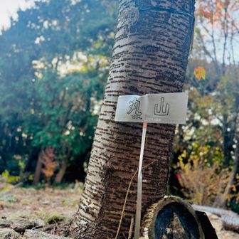 わぁ.′.′
丸山ᨒ𖡼.𖤣𖥧

清水山からの山道や、
丸山頂上も個人的に大好きですᙏ̤̫͚