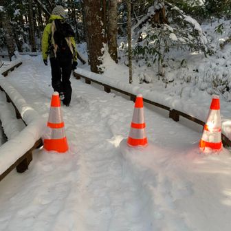 牛留池木道、結構老朽化で穴が開いている箇所があり、踏み抜きそうなところはパイロン置いてあります