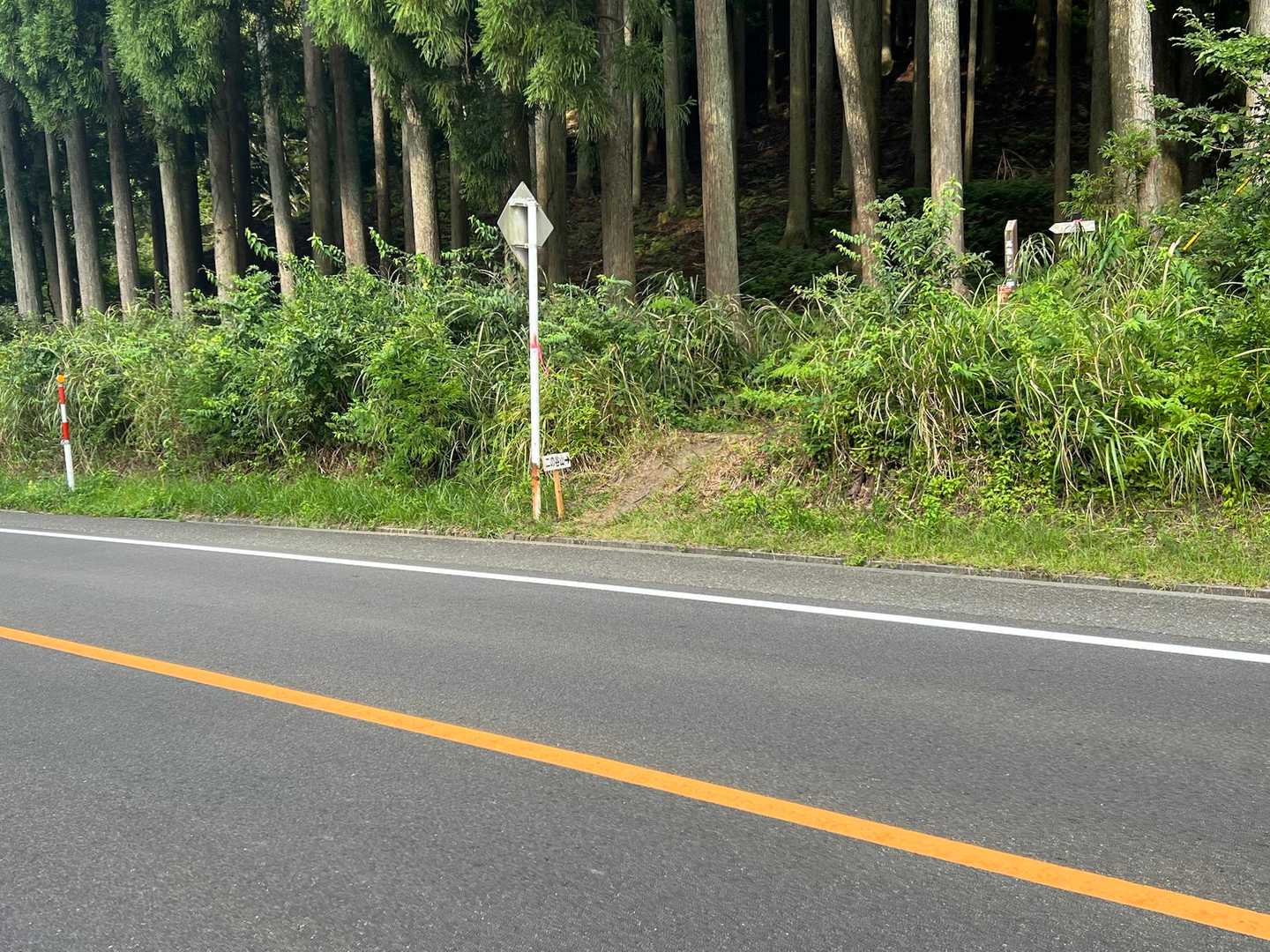 道路を横断して登山口へ
横断する時は、車に注意⚠️