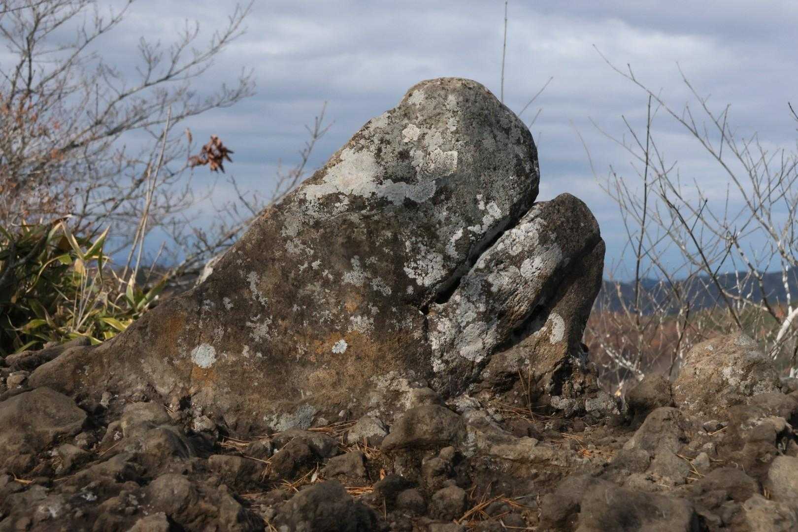 くじら岩だっけ！？🤔