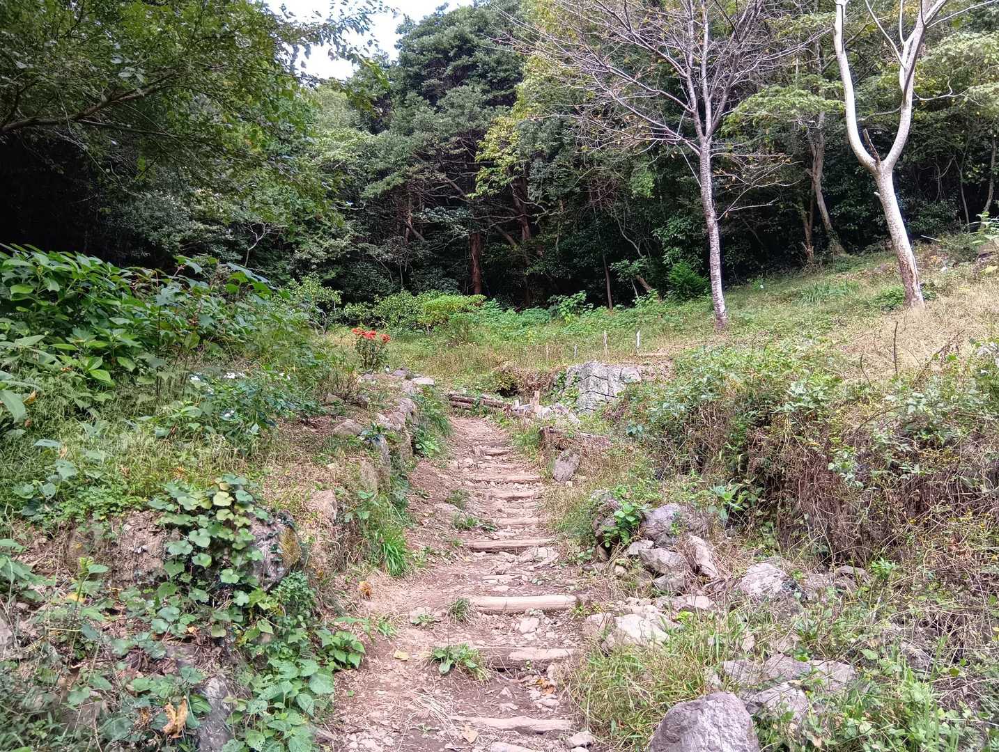 登る、登る〜