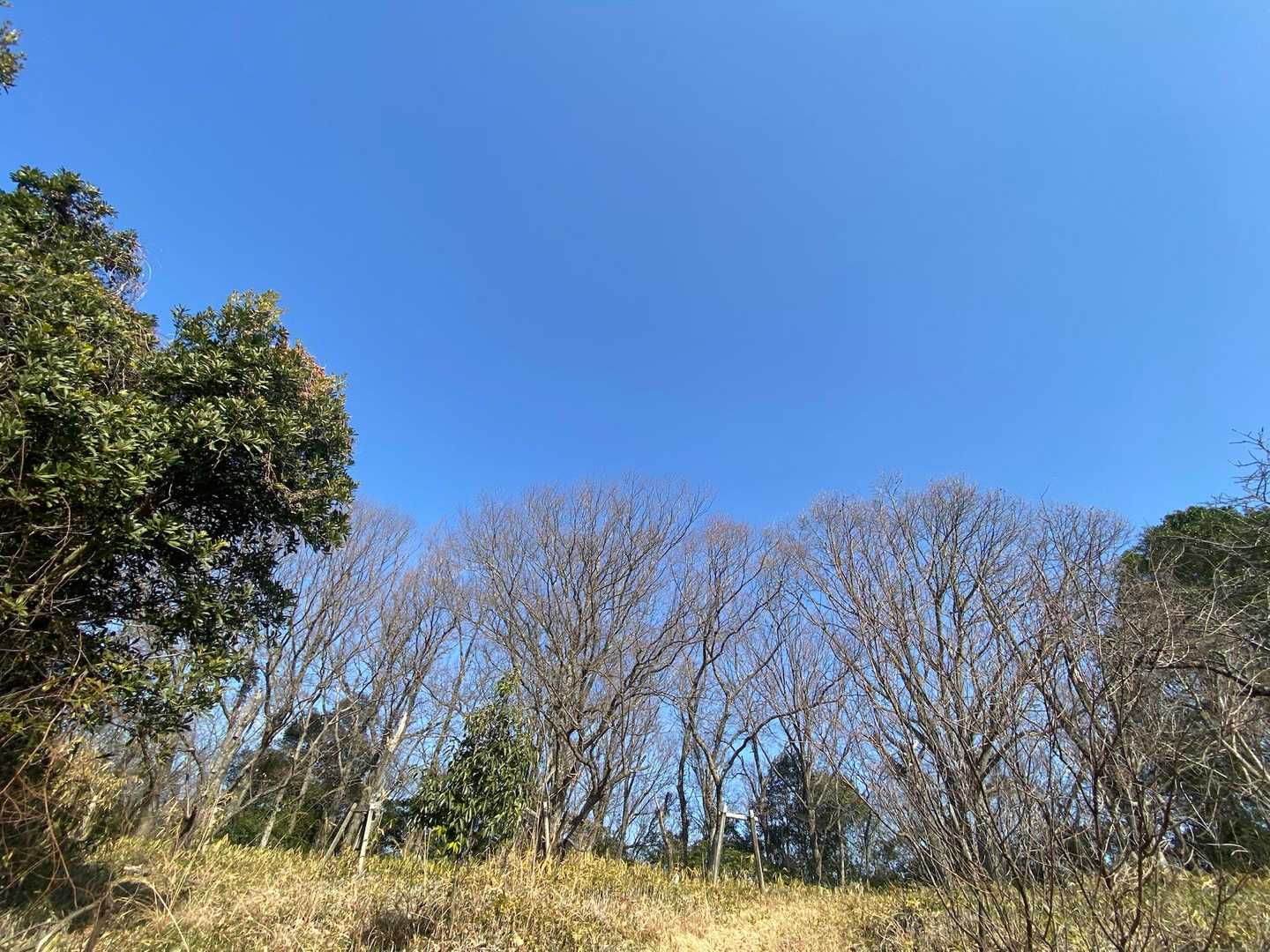 龍ノ口ブルー🩵
穏やかなお天気😊