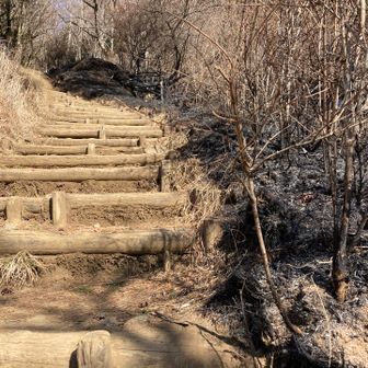よくぞこの範囲で収まりました
おつかれさま