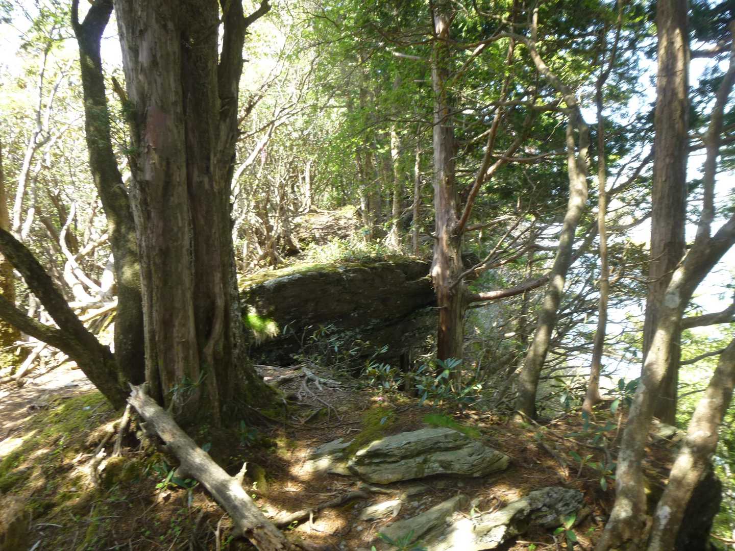 岩尾根　右側は崖
