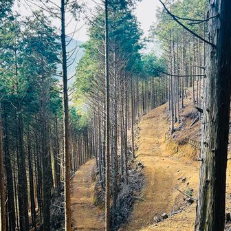 🎀ないけど九十九折りで登り…迷う事なく…
あっという間に…