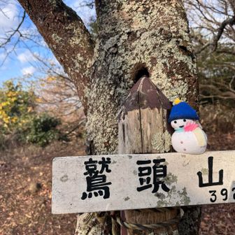 可愛い雪だるまさんがいました🫶