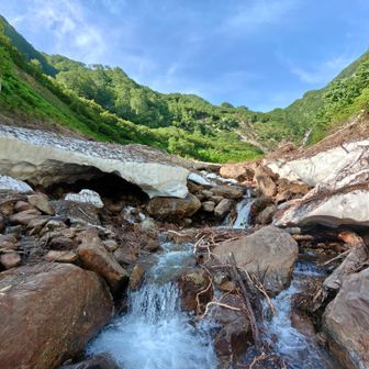 念願のカムイエクウチカウシ山 / ROOKIEの登山データ | YAMAP / ヤマップ