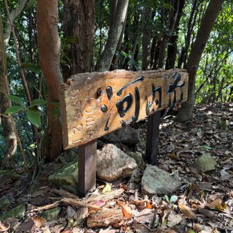 グレーピーク🩶の河内山へ寄って