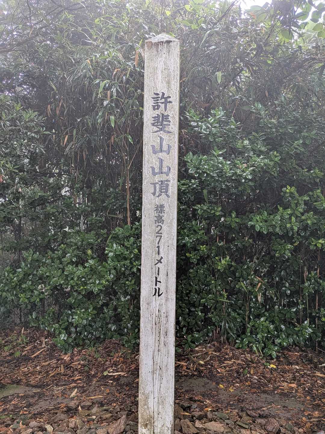 吉原登山口-許斐山 往復コースの写真