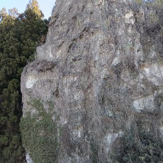 結構高い崖です。20m以上ありそうです。😮