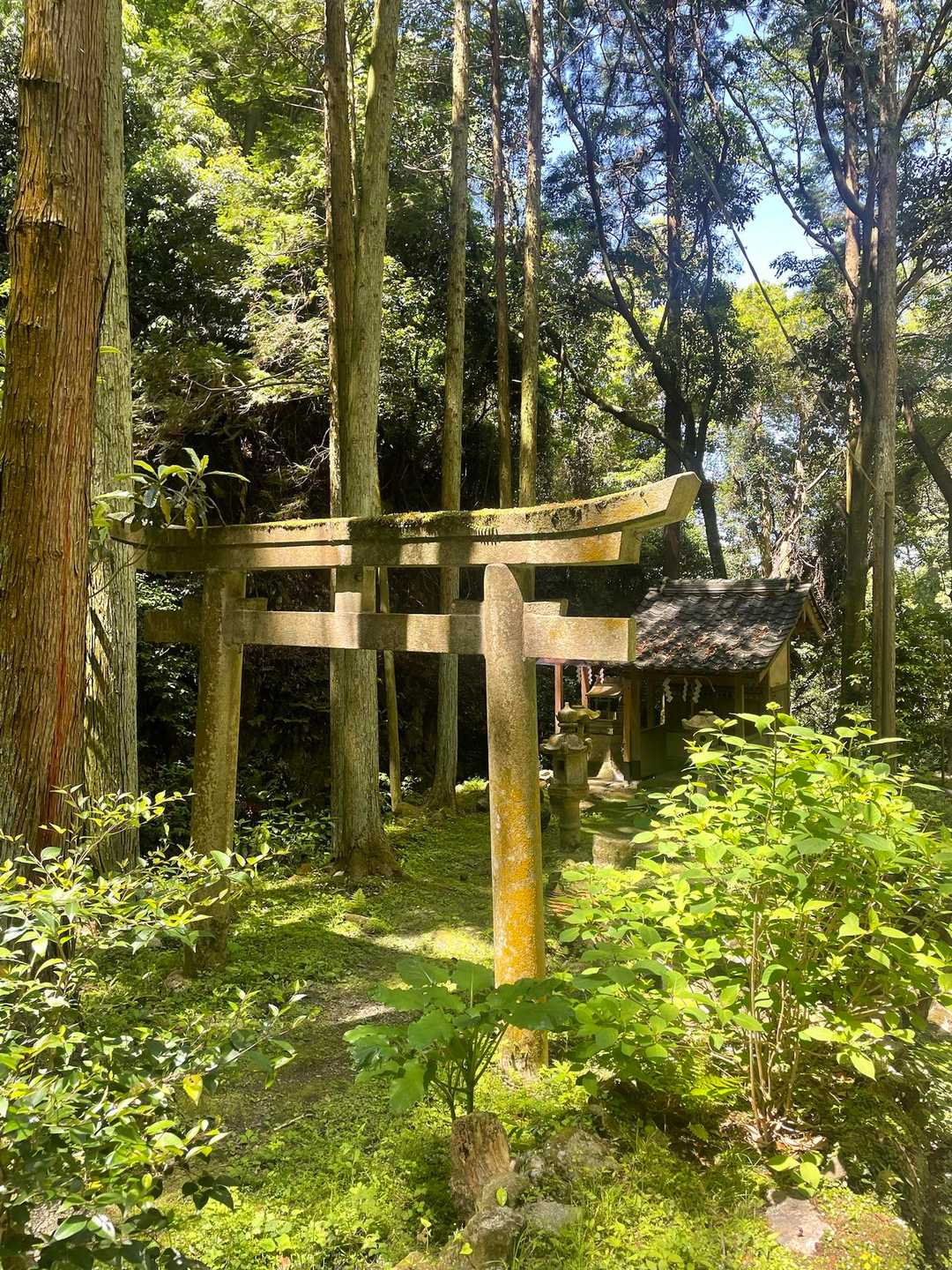 客坊大橋登山口 周回コースの写真