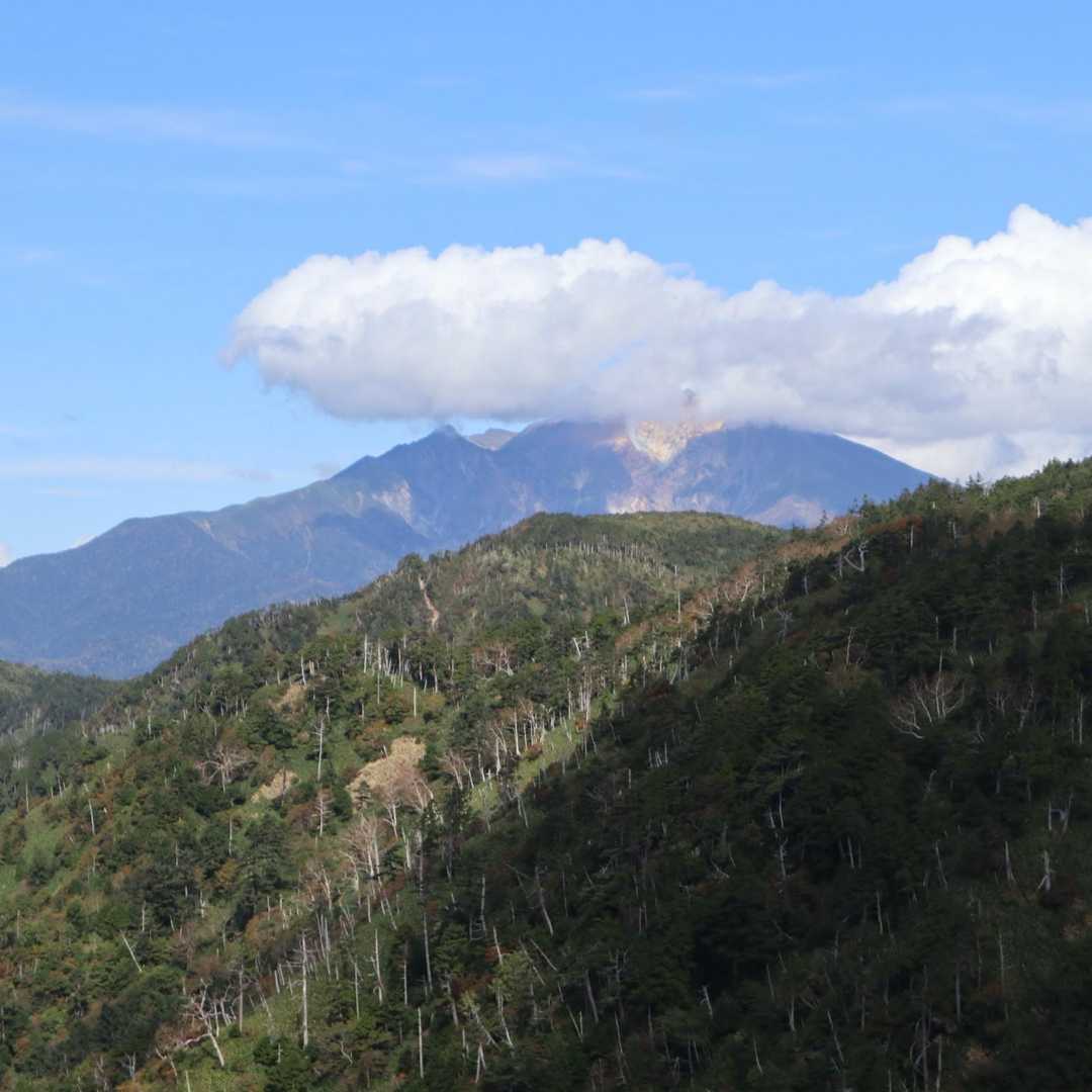 三ノ谷登山口-小秀山 往復コースの写真