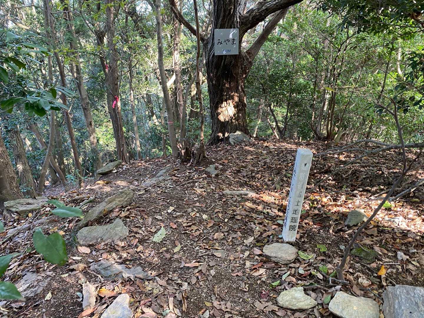みやま山頂

登山口と案内があったので登って見る。
格別何も無し(笑)YAMAPのピークにもなってないかな。