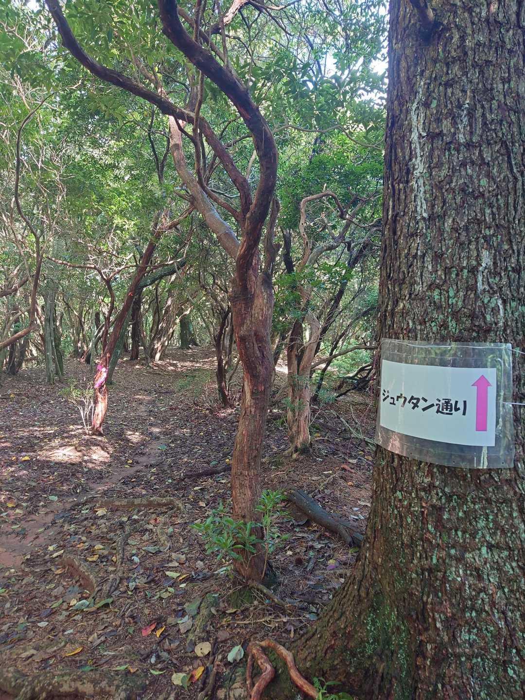 おしゃれな通りがありました✨️