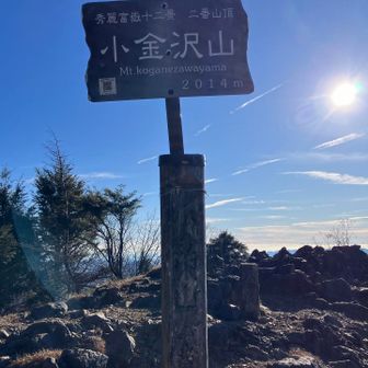 小金沢山、頂きました。