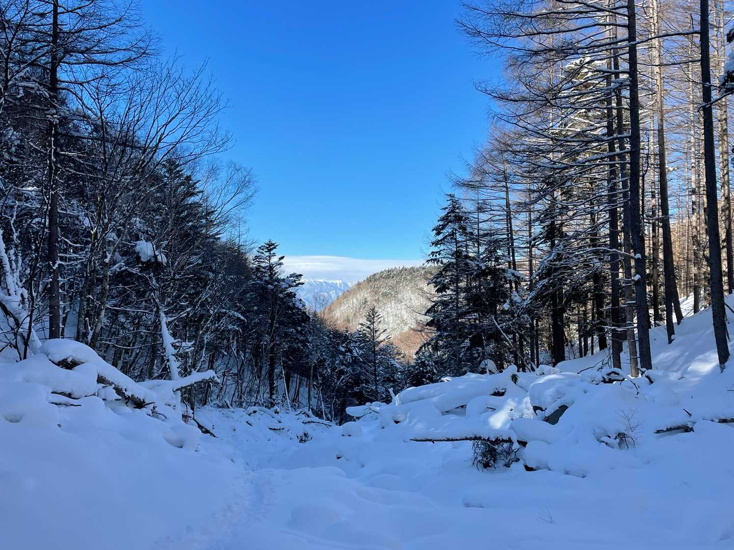 振り返ると
北アルプス　大滝山⛰が
