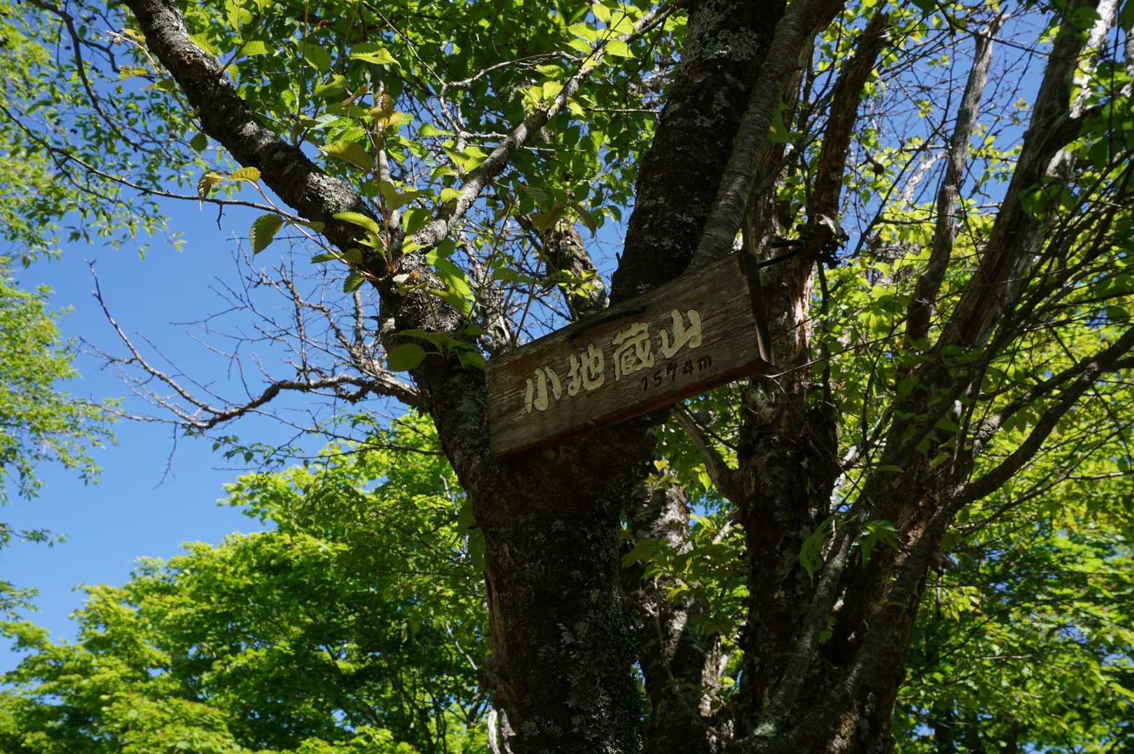 もう一つ山頂標が有った！