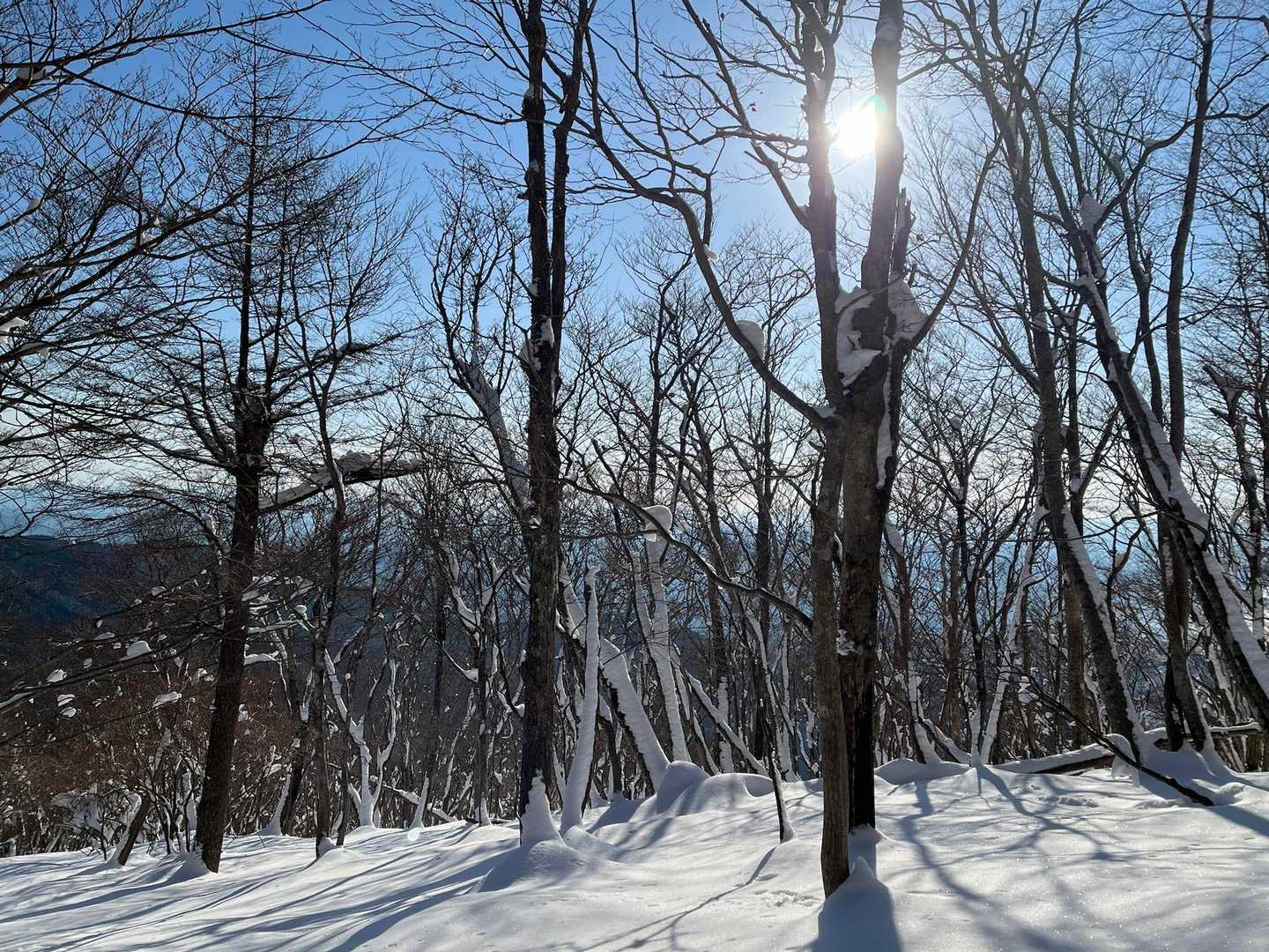 那岐山 往復コースの写真
