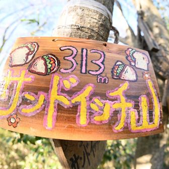 おきまりのサンドイッチ山⛰️