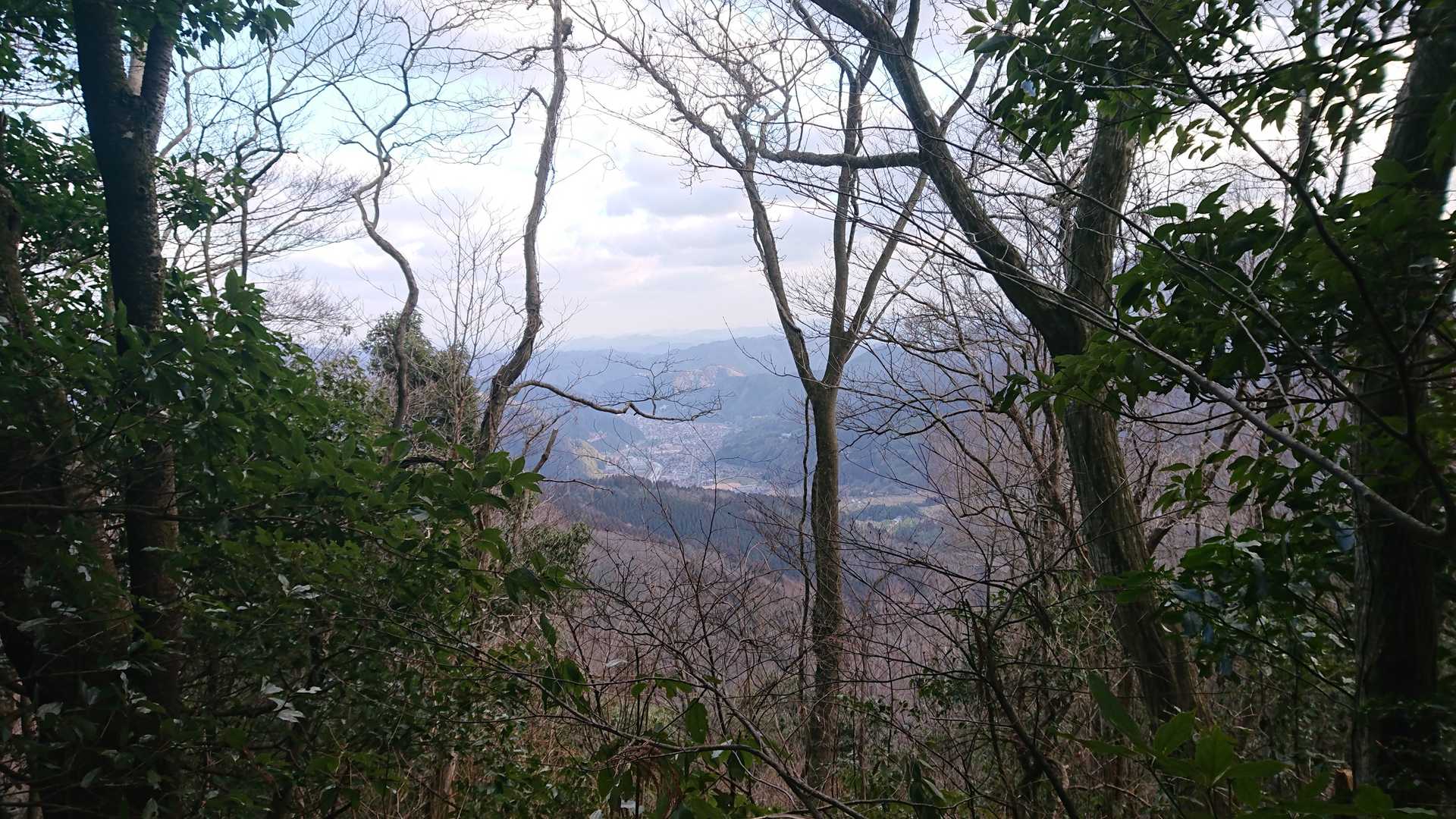 頂上からの眺め(津和野の街並み)