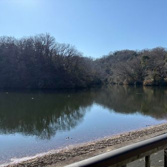 旭山登り口の近くに池がありました。
そしてここからまた尾根道へ登って行きます😰