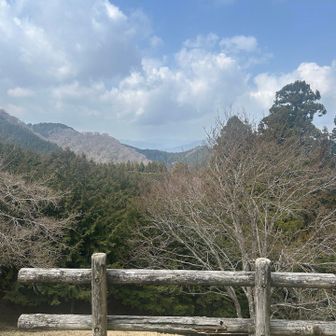 こんな景色　手前の🌲伸びちゃったから…