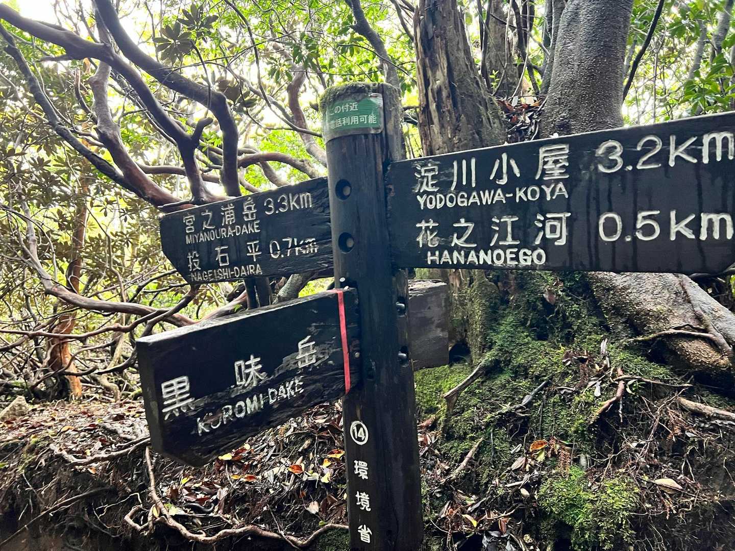 途中、ザックをデポして黒味岳へ